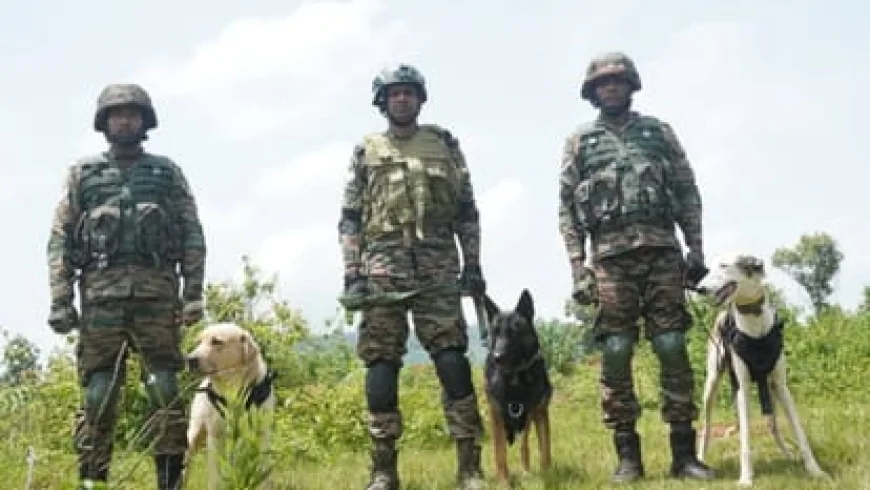 साइलेंट K9 कमांडो और रोबोटिक डॉग्स ने दिखाई सैन्य ताकत, रामपुर हाउंड बना आकर्षण का केंद्र