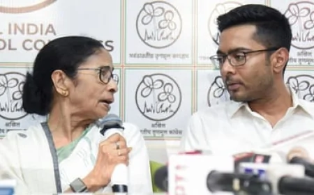 दिल्ली पहुंचे अभिषेक बनर्जी, तृणमूल सांसदों की बैठक से पहले बढ़ी राजनीतिक हलचल
