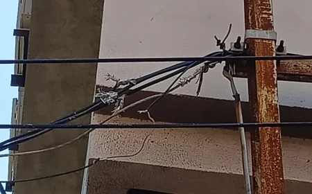 बिजली विभाग की लापरवाही पर सवाल, गलत मेंटेनेंस से फाल्ट का खतरा, ट्रांसफार्मर को भी नुकसान की आशंका