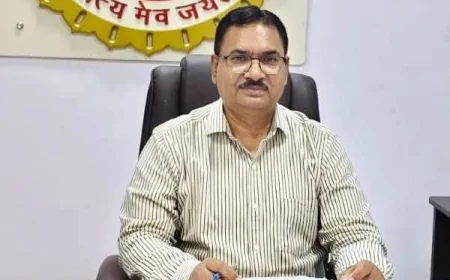 भू-राजस्व संहिता के विपरीत आदेश पड़ना पड़ा भारी, तहसीलदार निलंबित