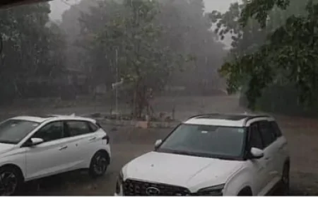 हरियाणा में प्री-मानसून की दस्तक, 20 जून तक बारिश और आंधी का अलर्ट; हिसार में तेज हवाओं से नुकसान