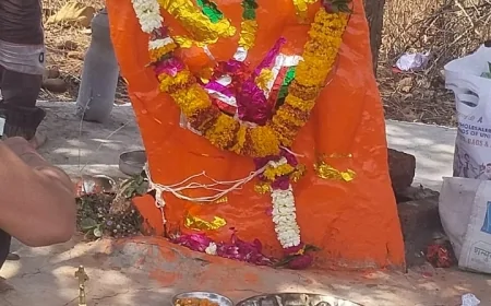 बमोरी बुजुर्ग में वनरक्षक पर अभद्रता के आरोप, ग्रामीण आज वन मंडल अधिकारी से करेंगे शिकायत