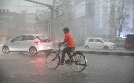 हरियाणा में बदला मौसम का मिजाज, 24-25 जून को बूंदाबांदी और तेज हवाओं के आसार; जुलाई में अच्छी बारिश के संकेत
