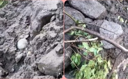 किन्नौर में बादल फटने से मची तबाही, काचरंग नाले में आई बाढ़ से पुल और पेयजल व्यवस्था क्षतिग्रस्त