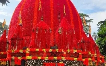 अंबुवाची: धरती, प्रकृति और स्त्री-शक्ति का पर्व
