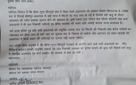 वर्षा पूर्व रेलवे अंडरपासों की सफाई की मांग, सुनील आचार्य ने मंडल अभियंता को मेल कर भेजा पत्र