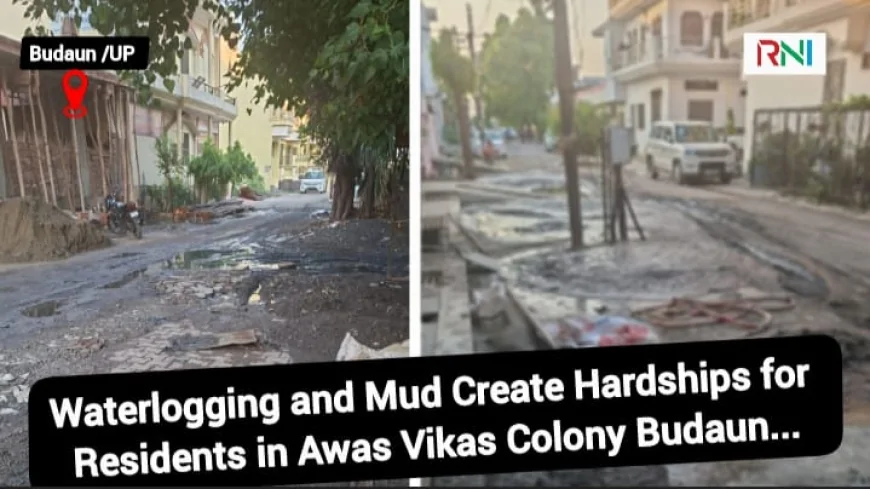 Waterlogging and Mud Create Hardships for Residents in Awas Vikas Colony Budaun