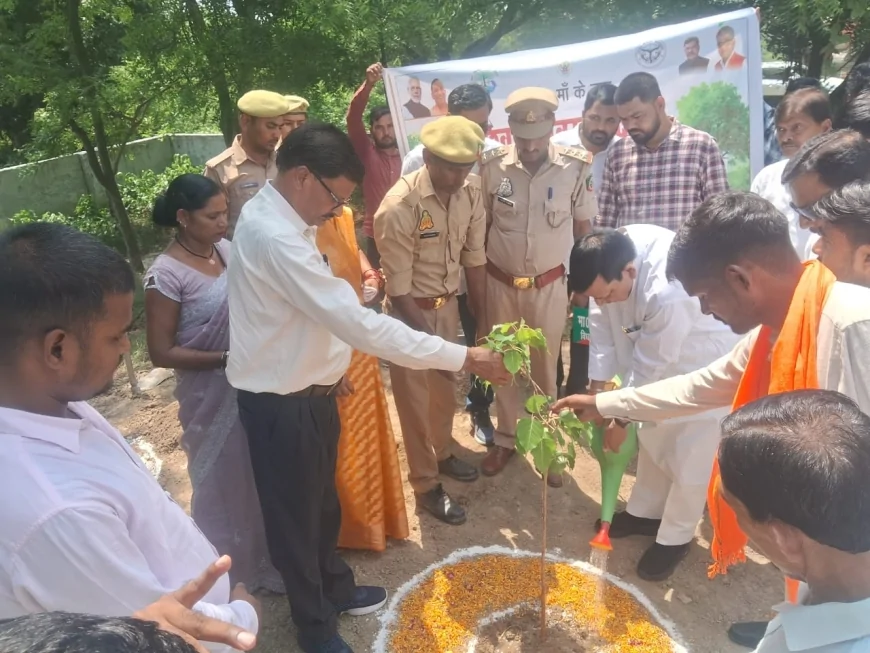 पर्यावरण संरक्षण हम सबकी जिम्मेदारी, कछौना वन रेंज में 5 करोड़ पौधे लगाने का लक्ष्य - विधायक रामपाल वर्मा