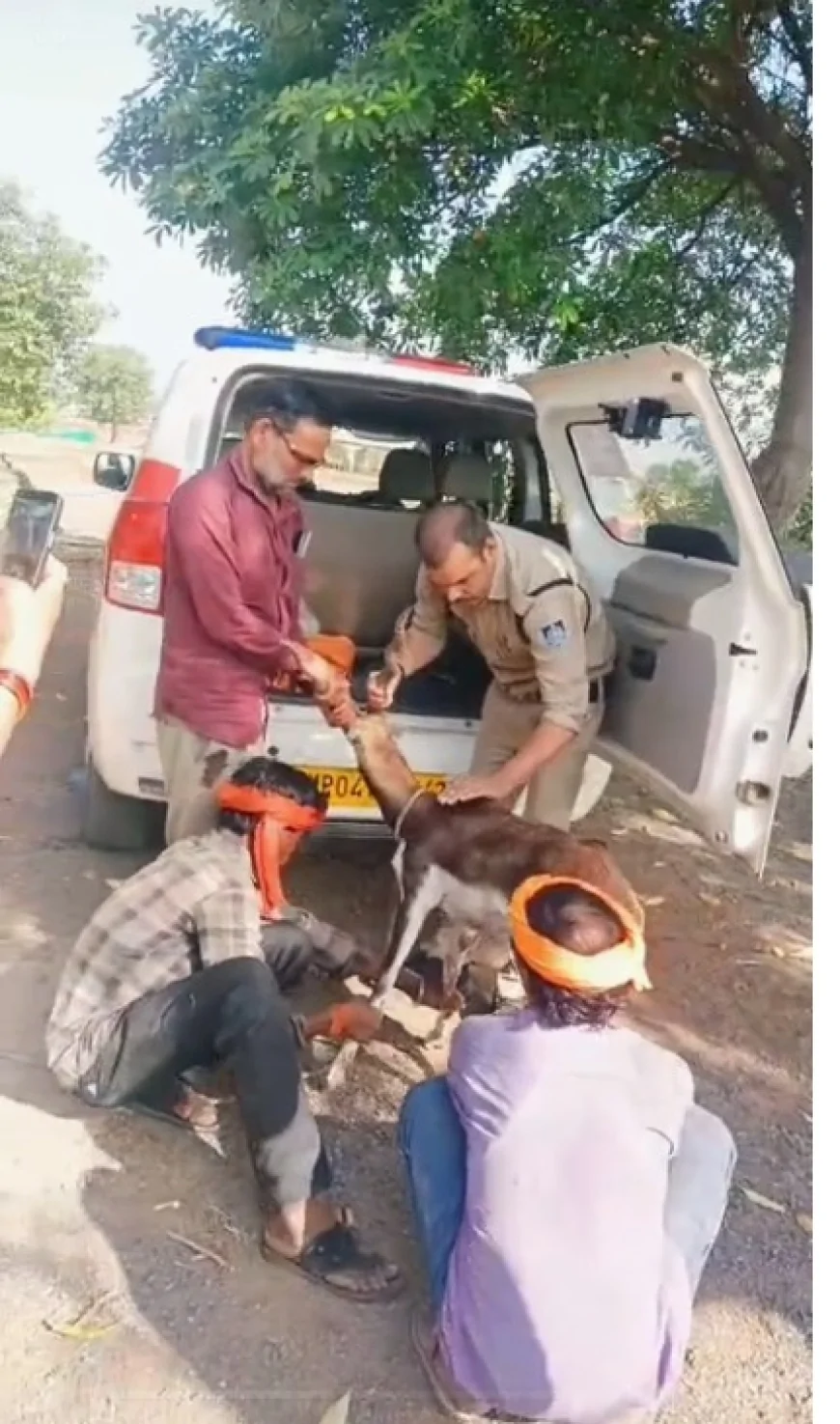 गुना जिले के म्याना थाना क्षेत्र में घायल हिरण के बच्चे को, डायल-112 जवानों ने सुरक्षित किया वन विभाग के सुपुर्द