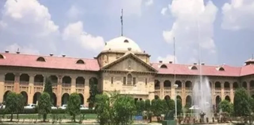 24 घंटे से अधिक अवैध हिरासत पर मिलेगा मुआवजा, इलाहाबाद हाईकोर्ट का महत्वपूर्ण आदेश