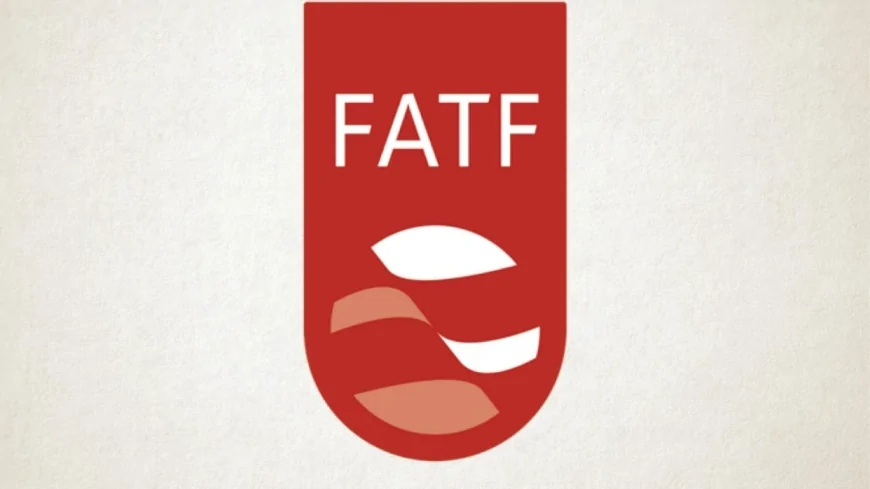 FATF की ग्रे लिस्ट में फिर फंस सकता है पाकिस्तान? भारत अक्तूबर बैठक में पेश कर सकता है नए सबूत
