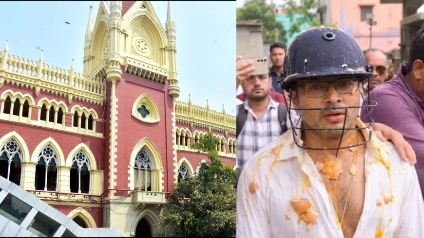 'सिर्फ गिरफ्तारी काफी नहीं': अंडा फेंकने की घटनाओं पर कलकत्ता हाईकोर्ट सख्त, पुलिस से दो सप्ताह में मांगी रिपोर्ट