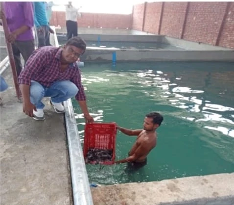 सरकारी नौकरी नहीं मिली तो शुरू किया मत्स्य पालन, अब हर साल 10 से 15 लाख रुपये का शुद्ध मुनाफा