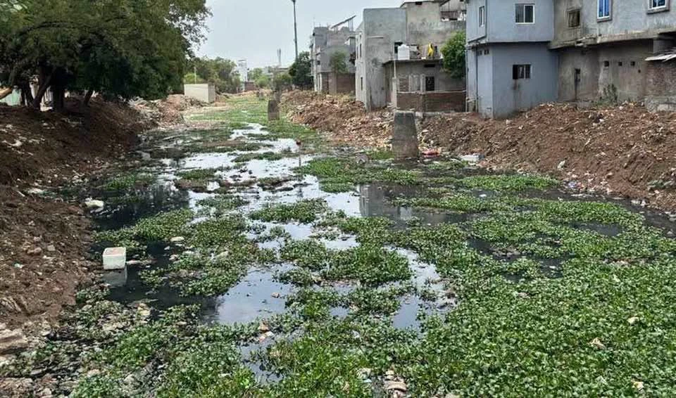 गुनिया नदी पुनर्जीवन परियोजना की समीक्षा, वैज्ञानिक मानकों पर काम के निर्देश; अतिक्रमण हटाने की मांग बरकरार
