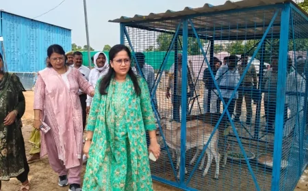 ग्रामीण चौपाल में सीडीओ ने सुनीं समस्याएं, राशन और विद्यालय की शिकायतों पर सख्त कार्रवाई के निर्देश