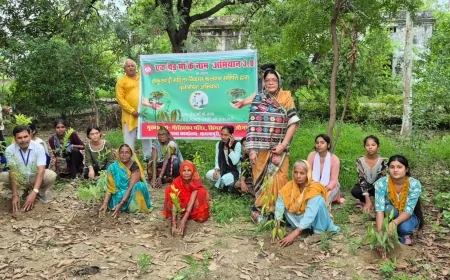 एक पेड़ माँ के नाम : मातृत्व के सम्मान के साथ पर्यावरण संरक्षण का संदेश