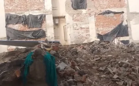 दिल्ली के जसोला में दीवार गिरने से बड़ा हादसा, मलबे में दबे तीन मजदूर; एक की मौत