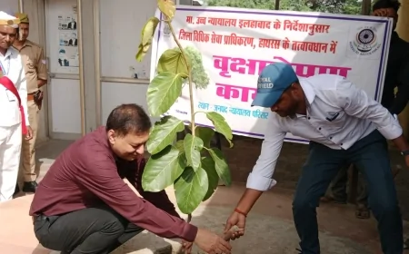 'एक पेड़ मां के नाम' अभियान: हाथरस न्यायालय परिसर में जनपद न्यायाधीश ने किया वृक्षारोपण