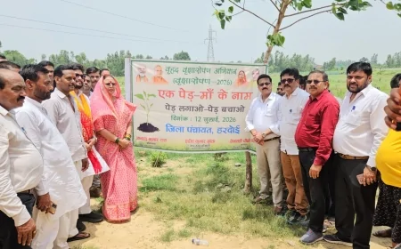 हरदोई में जिला पंचायत अध्यक्ष प्रेमावती ने किया वृक्षारोपण, 'एक पेड़ माँ के नाम' अभियान से जुड़ने का किया आह्वान