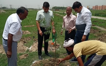 'मां के नाम एक पेड़' सबसे बड़ी श्रद्धांजलि: आवास आयुक्त डॉ. बलकार सिंह