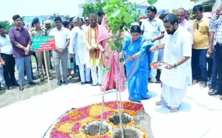 हरदोई में हरित क्रांति का नया अध्याय, वृक्षारोपण महाअभियान में लक्ष्य से अधिक 72.75 लाख पौधे रोपे