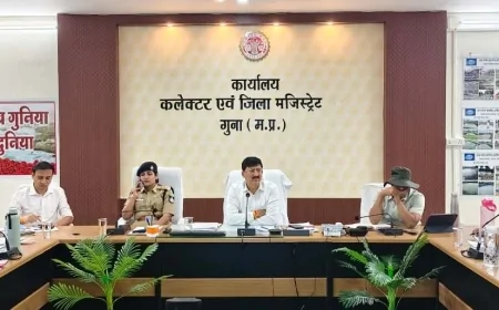 गुना में सड़क सुरक्षा पर सख्ती, अतिक्रमण हटाने और फ्लाईओवर की लाइटें एक सप्ताह में चालू करने के निर्देश