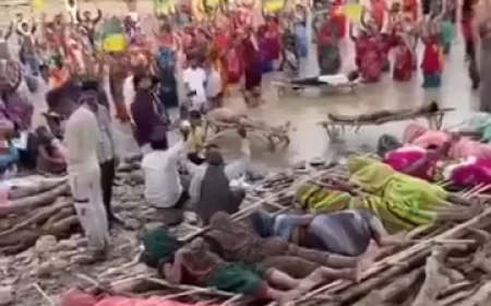 केन-बेतवा परियोजना पर बढ़ा विरोध: जल सत्याग्रह, भूख हड़ताल और विस्थापन को लेकर उठे सवाल