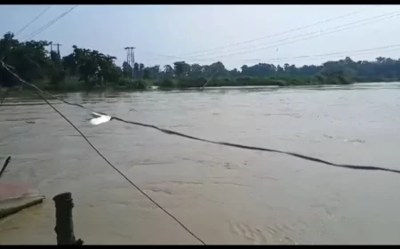 मुजफ्फरपुर में औराई, कटरा और गायघाट में मंडराया बाढ़ का खतरा, बागमती नदी उफनाई