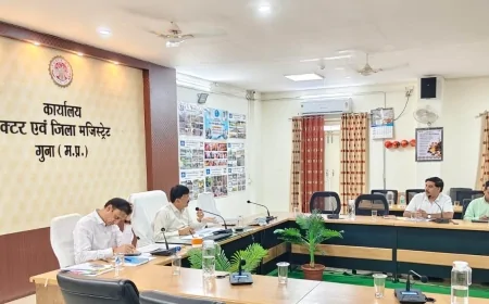 गुना में उद्योगों के अनुकूल वातावरण तैयार करें, निवेश और रोजगार बढ़ाने के लिए बने कार्ययोजना : कलेक्टर कन्याल