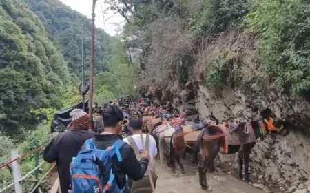 केदारनाथ पैदल यात्रा सुचारू, भूस्खलन प्रभावित मार्गों पर सुरक्षा बढ़ी, घोड़ा-खच्चर सेवा अब भी बंद