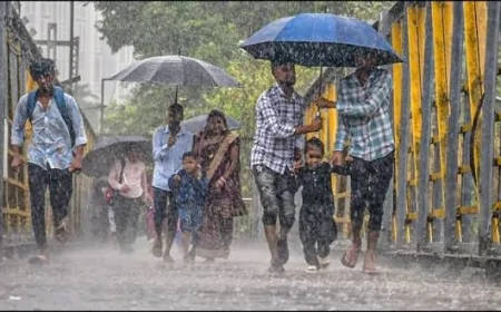 यूपी में मानसून का कहर जारी, 63 जिलों में भारी बारिश का अलर्ट; 60 जिलों में वज्रपात की चेतावनी