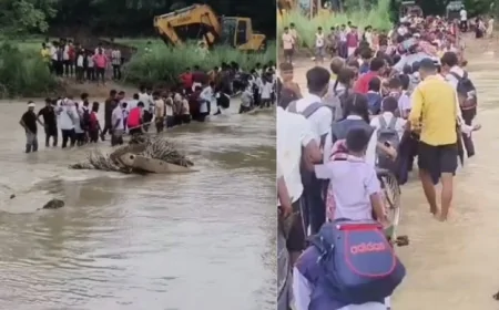 TEMPORARY DIVERSION ON CHHER RIVIER SUBMERGED