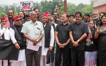 संसद में हंगामे के बीच आरोप-प्रत्यारोप तेज, प्रियंका गांधी बोलीं- जो हो रहा है वह अलोकतांत्रिक