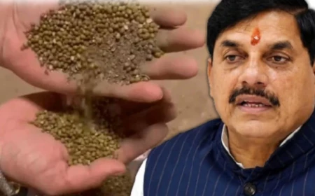 ₹28 करोड़ की सरकारी मूंग घोटाला: मिट्टी से भरी बोरियां मिलने पर जिला प्रबंधक समेत तीन पर FIR