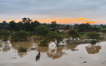 महानदी में उफान से बाढ़ जैसे हालात, कई गांवों में अलर्ट; लोगों को मकान खाली करने की सलाह