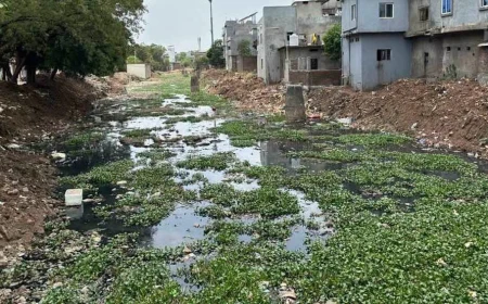 गुनिया नदी पुनर्जीवन परियोजना की समीक्षा, वैज्ञानिक मानकों पर काम के निर्देश; अतिक्रमण हटाने की मांग बरकरार