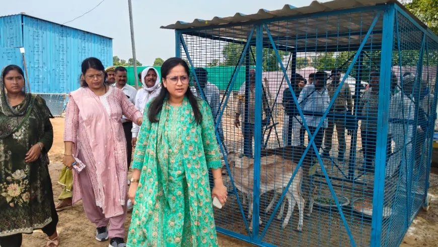 ग्रामीण चौपाल में सीडीओ ने सुनीं समस्याएं, राशन और विद्यालय की शिकायतों पर सख्त कार्रवाई के निर्देश