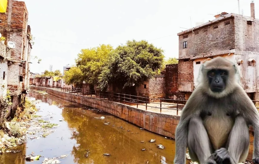 गुना में बाढ़ से पहले फिर उठे सवाल, एक साल बाद भी नहीं बदले हालात