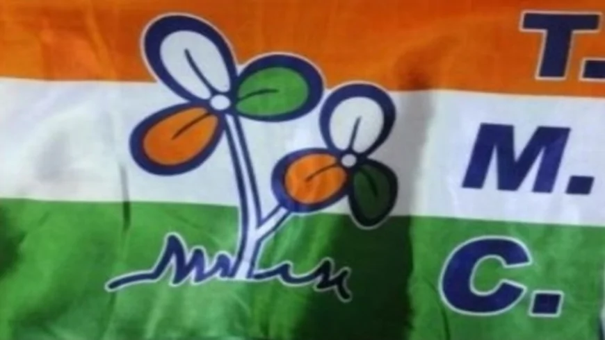तृणमूल की मुश्किलें बढ़ीं: राज्यसभा में और इस्तीफों की चर्चा, समानांतर संगठन भी हुआ सक्रिय