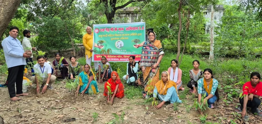 एक पेड़ माँ के नाम : मातृत्व के सम्मान के साथ पर्यावरण संरक्षण का संदेश