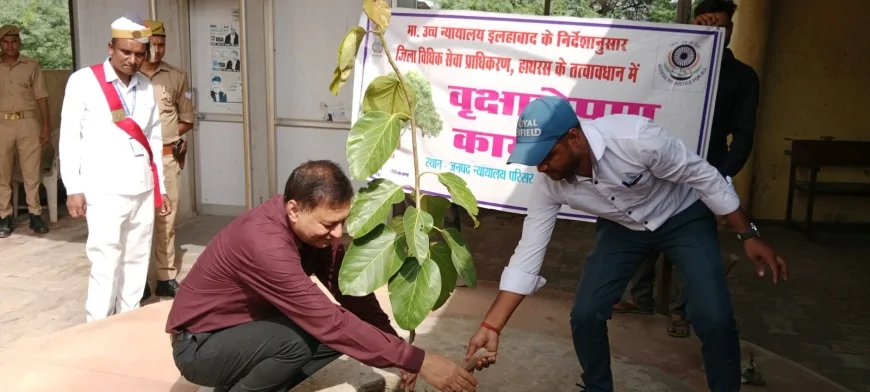 'एक पेड़ मां के नाम' अभियान: हाथरस न्यायालय परिसर में जनपद न्यायाधीश ने किया वृक्षारोपण