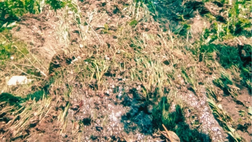 हिमाचल में फिर बढ़ा बारिश का खतरा, किन्नौर में दरका पहाड़ और कुल्लू में बह गईं दो पुलियां