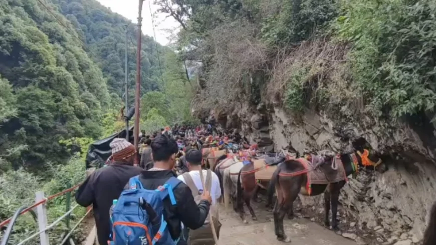 केदारनाथ पैदल यात्रा सुचारू, भूस्खलन प्रभावित मार्गों पर सुरक्षा बढ़ी, घोड़ा-खच्चर सेवा अब भी बंद