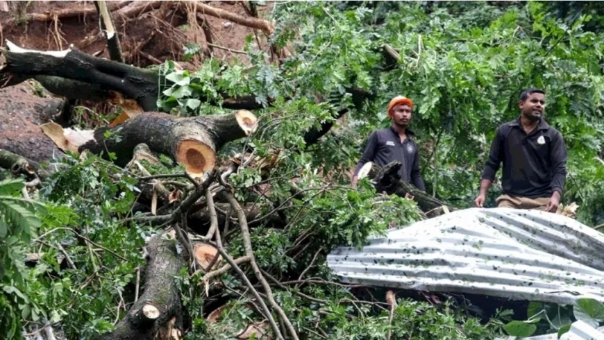 मानसून का कहर: कई राज्यों में बाढ़ और भूस्खलन से तबाही, असम में 11 और नगालैंड में 9 की मौत