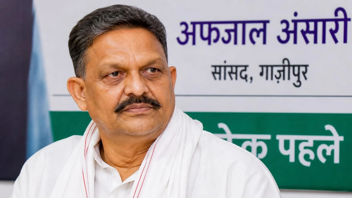सांसद अफजाल अंसारी को हाईकोर्ट से अंतरिम राहत, शस्त्र लाइसेंस मामले में गिरफ्तारी पर रोक