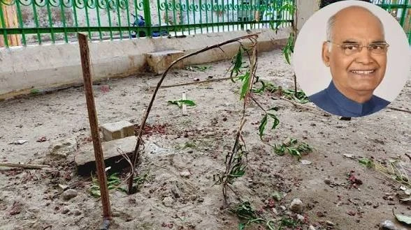 पूर्व राष्ट्रपति रामनाथ कोविंद का लगाया पौधा एक दिन बाद ही टूटा, वृंदावन में बंदरों ने पहुंचाया नुकसान