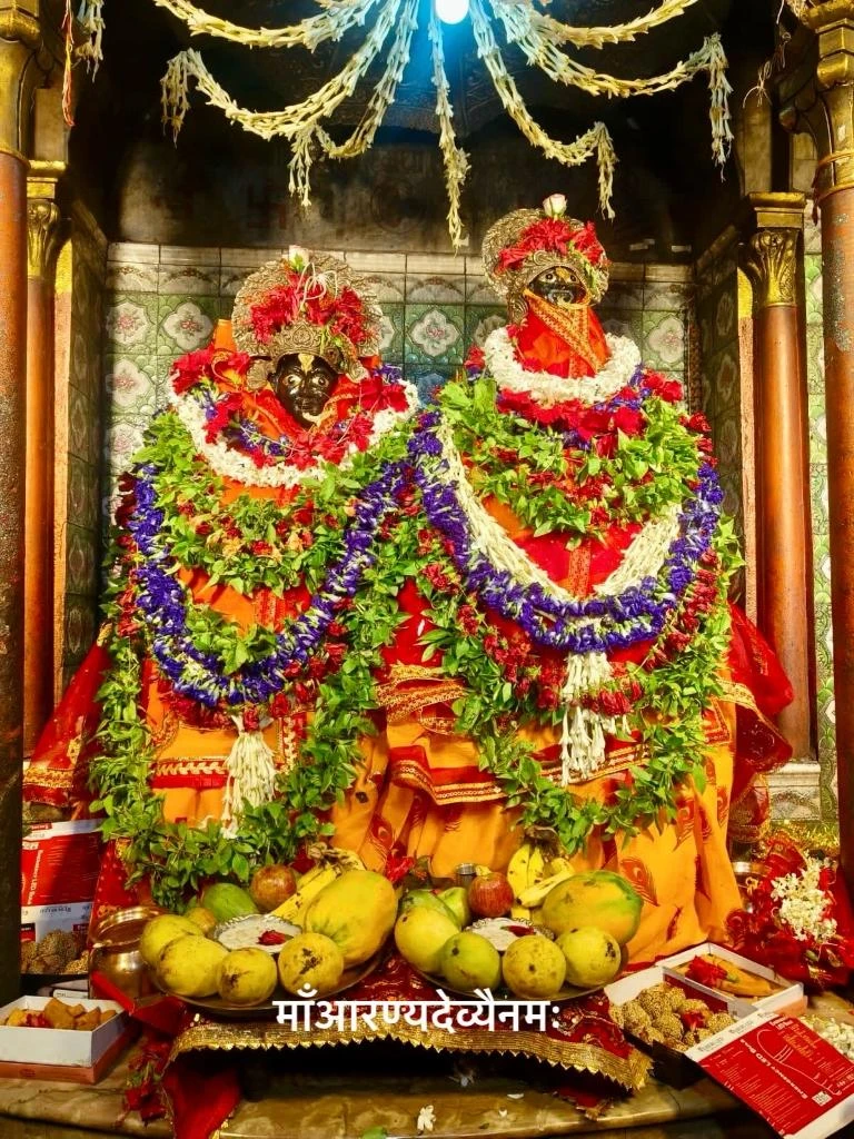 ANCIENT HISTORY OF ARANYA DEVI IN ARA