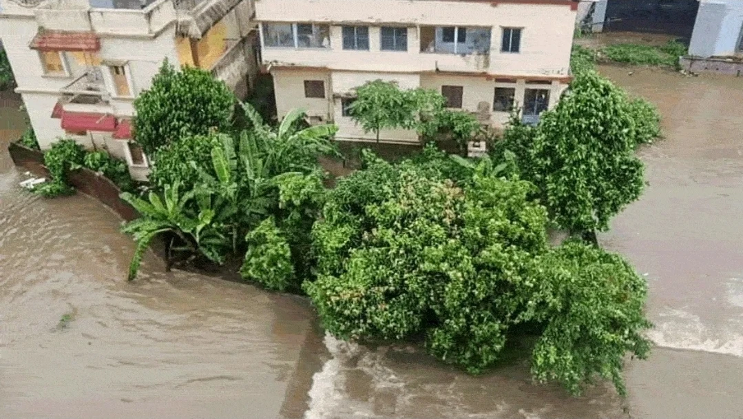 ओडिशा में बाढ़ के बीच फिर भारी बारिश का खतरा, 703 गांव जलमग्न; बंगाल की खाड़ी में बन रहा नया कम दबाव