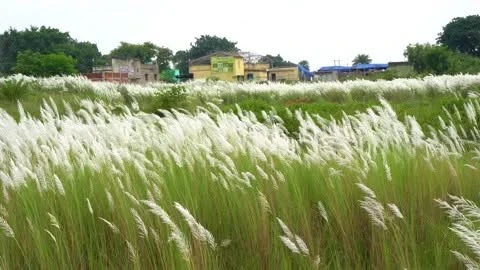 दिमागी नक्सली’ शब्द पर नई बहस, कार्तिकेय की कथा और नक्सल शब्द को जोड़ने वाले दावे पर उठे सवाल