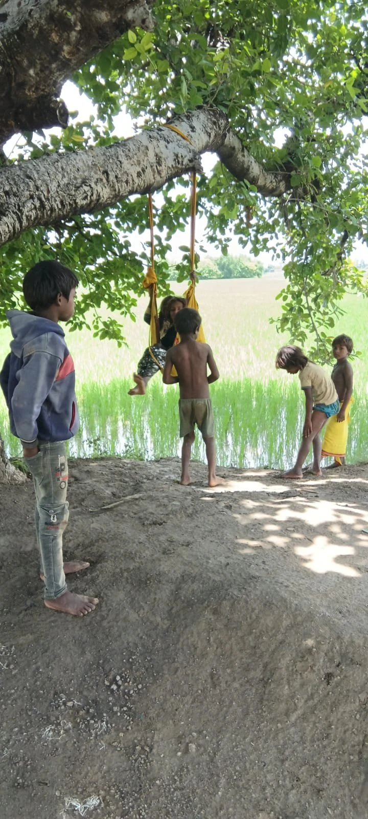 CHILDREN CELEBRATE SAWAN BY SWINGING